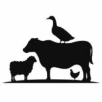Dairy & Livestock Product Storage