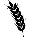 Harvest-preservation