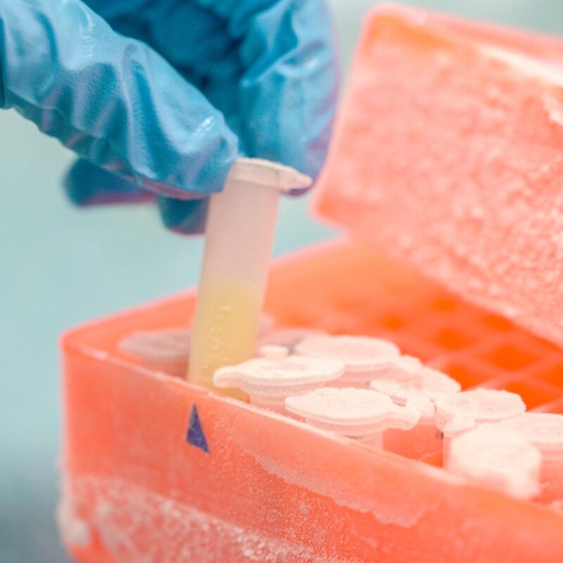 Pharmaceutical labs