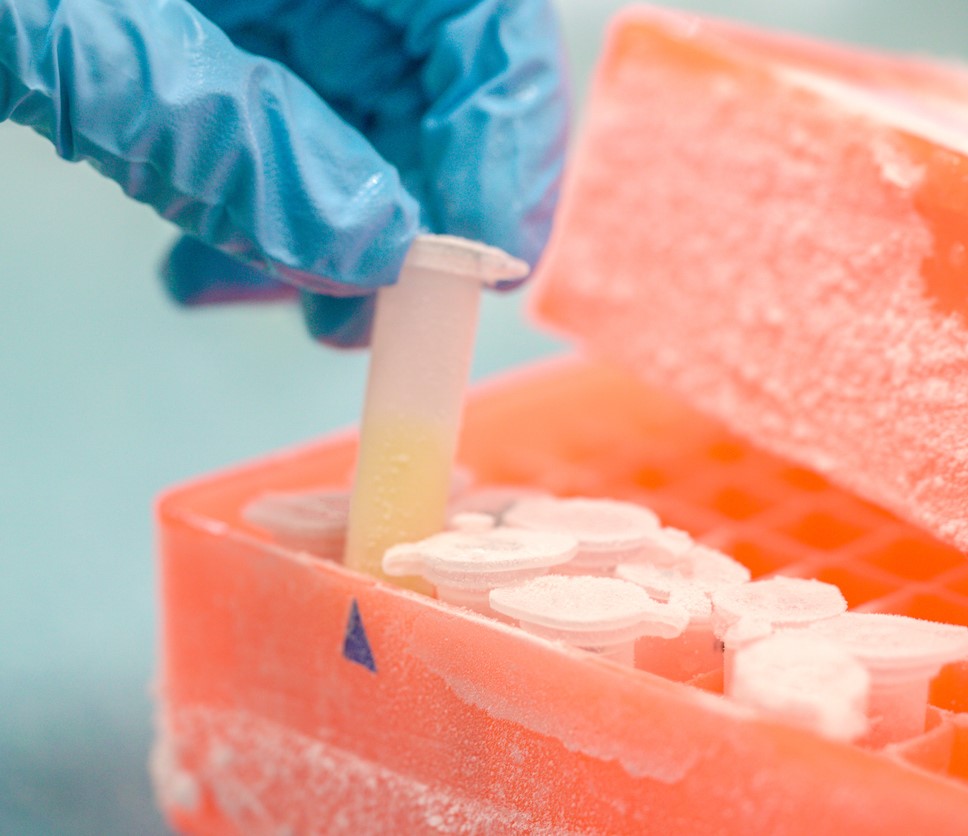 Pharmaceutical labs