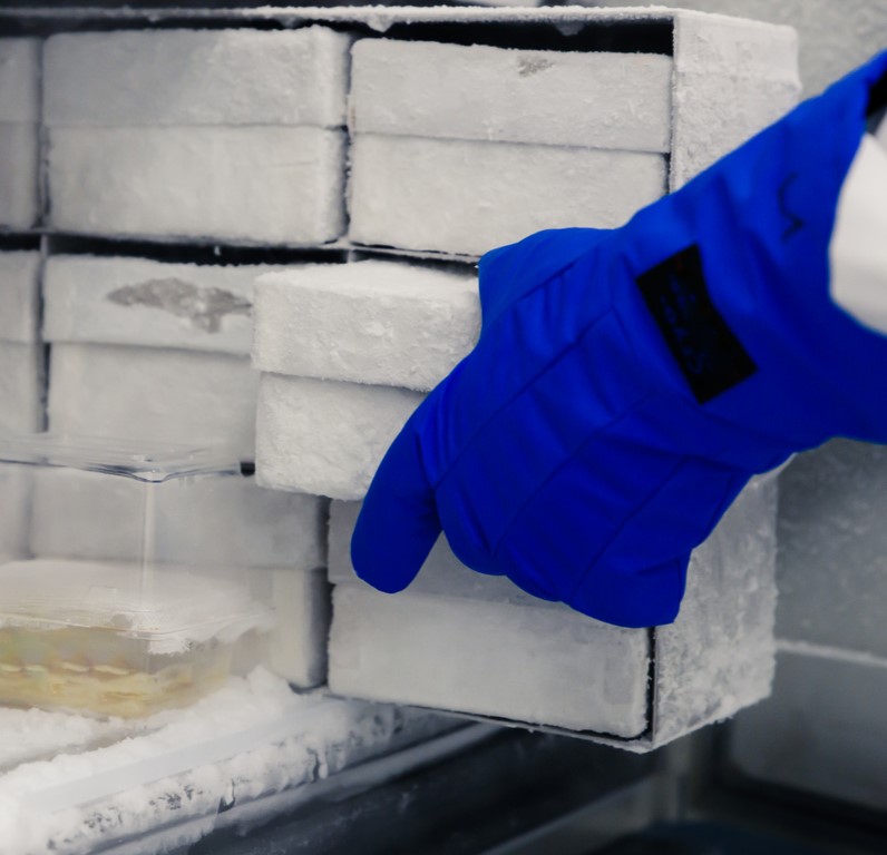 cold storage for labs