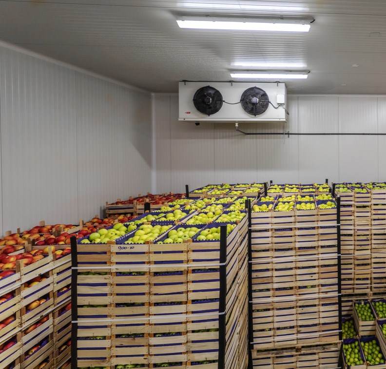 food storage