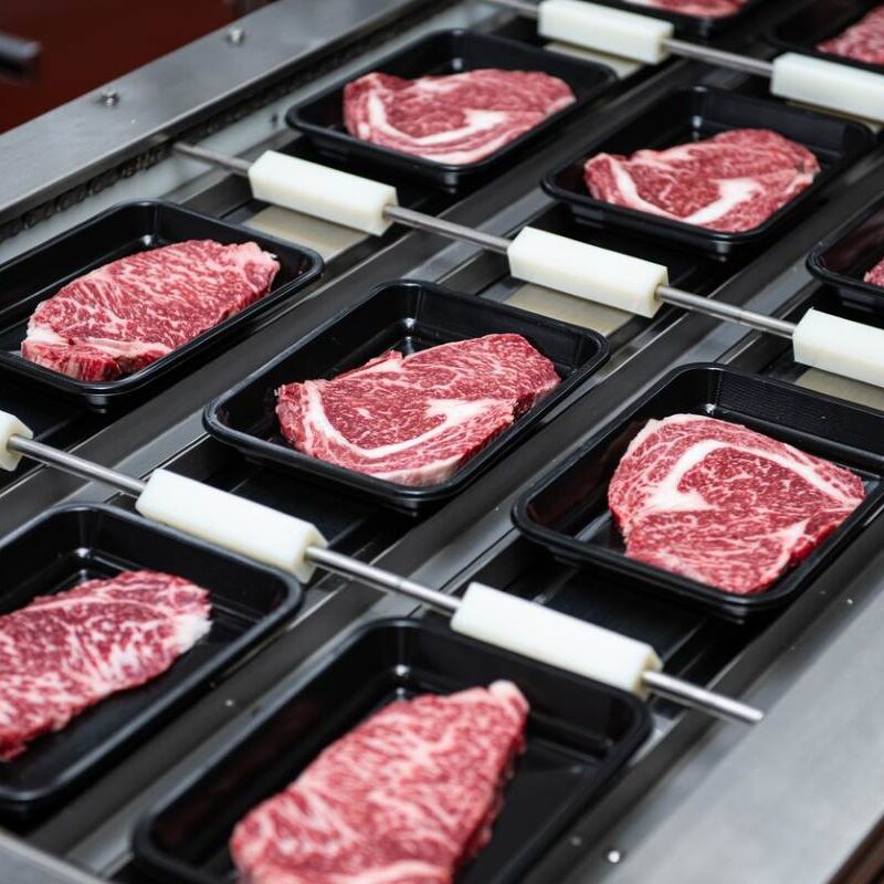 meat packaging and cold storage