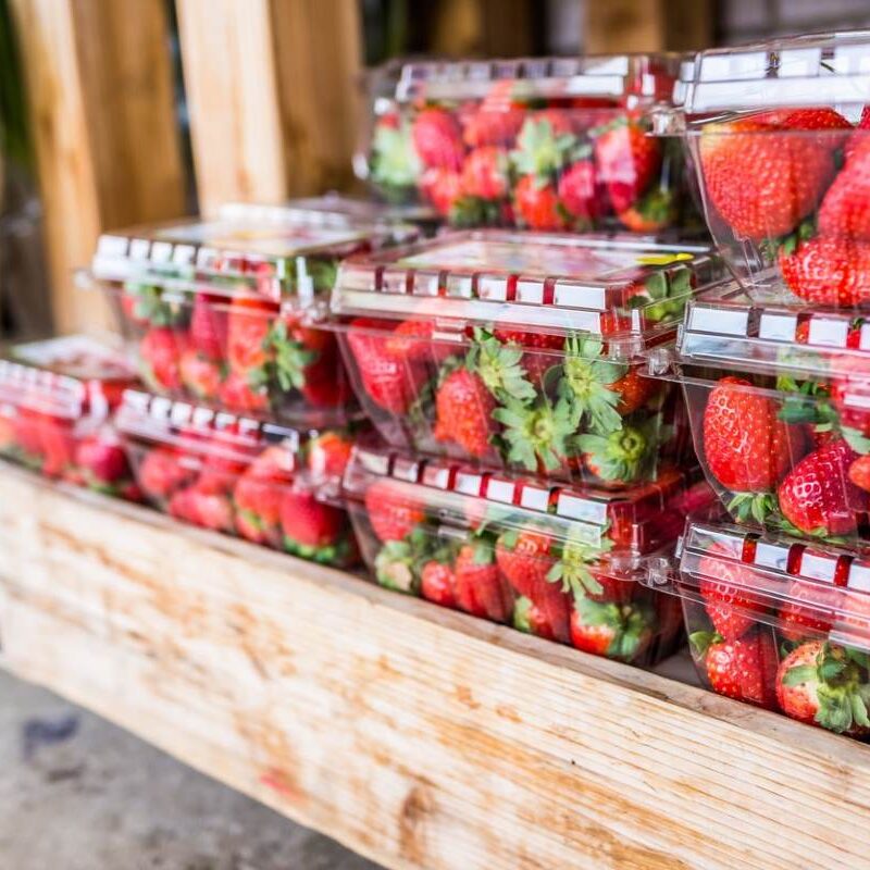 strawberry packaging and stored in cold storage