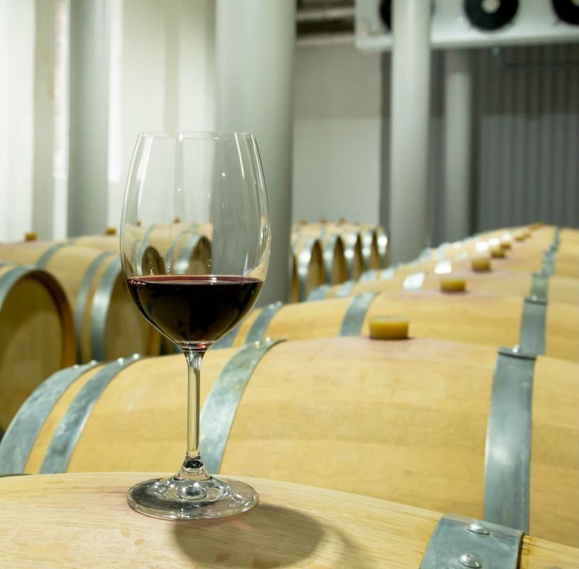 wine cold storage