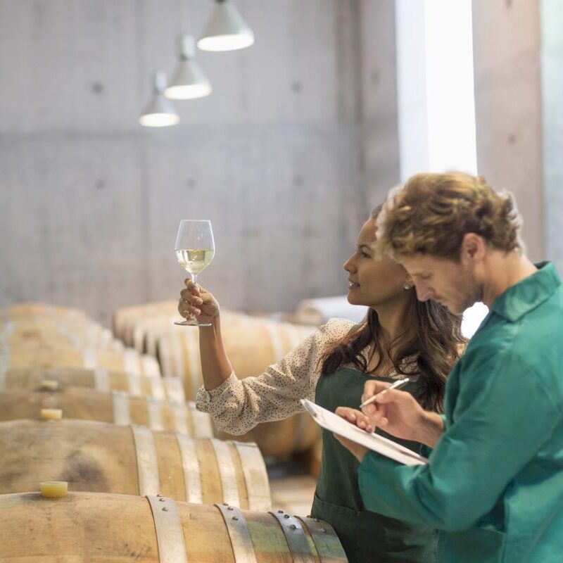 winery cellar